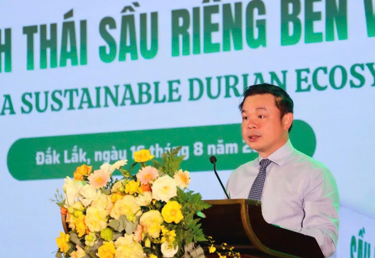 Đắk Lắk kết nối sản xuất tiêu thụ, xây dựng hệ sinh thái sầu riêng bền vững
