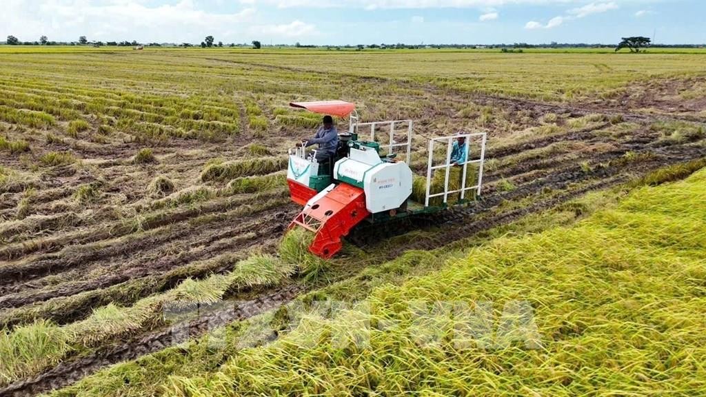 Biến đổi khí hậu: Từ thích ứng đến nâng cao giá trị nông sản