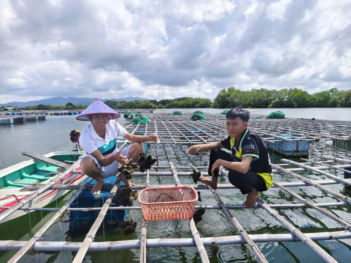Gia Lai: Hơn 120 tỷ đồng hỗ trợ người dân và doanh nghiệp phát triển nuôi trồng thủy sản công nghệ cao