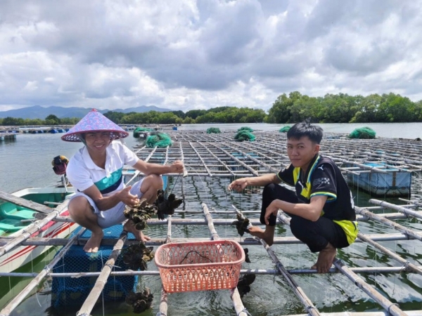 Gia Lai: Hơn 120 tỷ đồng hỗ trợ người dân và doanh nghiệp phát triển nuôi trồng thủy sản công nghệ cao