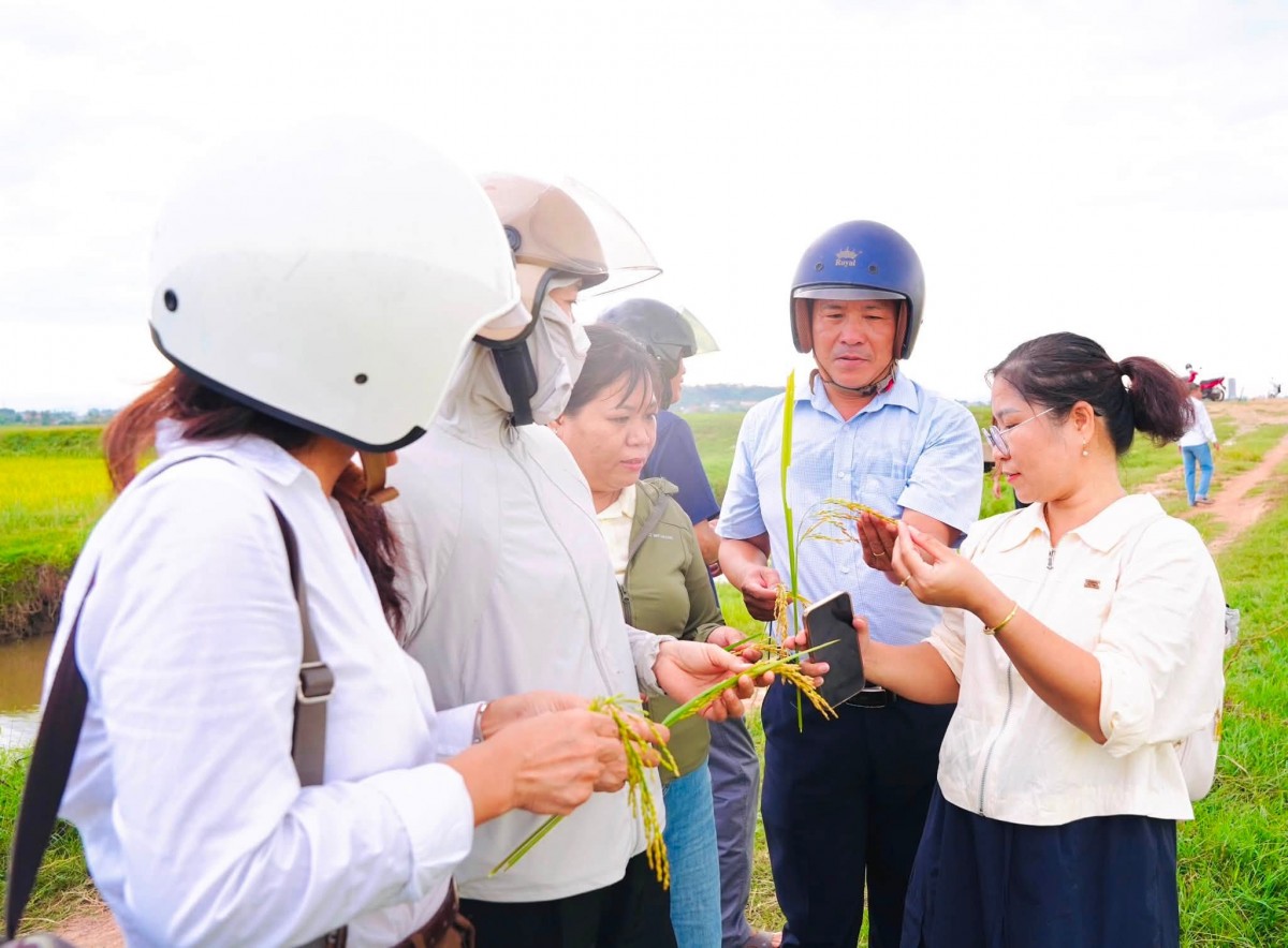 Kiểm tra thực tế