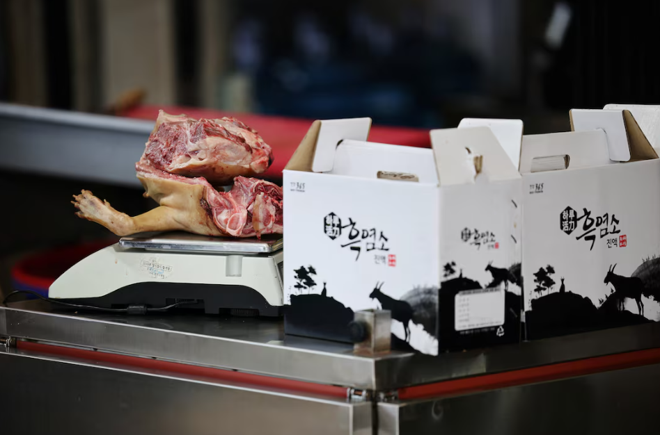 Hàn Quốc chuẩn bị khép lại ngành chăn nuôi chó lấy thịt