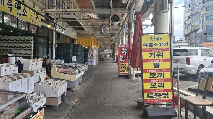 Hàn Quốc chuẩn bị khép lại ngành chăn nuôi chó lấy thịt