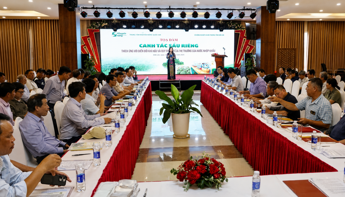 Sầu riêng Đắk Lắk trước yêu cầu thích ứng biến đổi khí hậu, kiểm soát an toàn thực phẩm