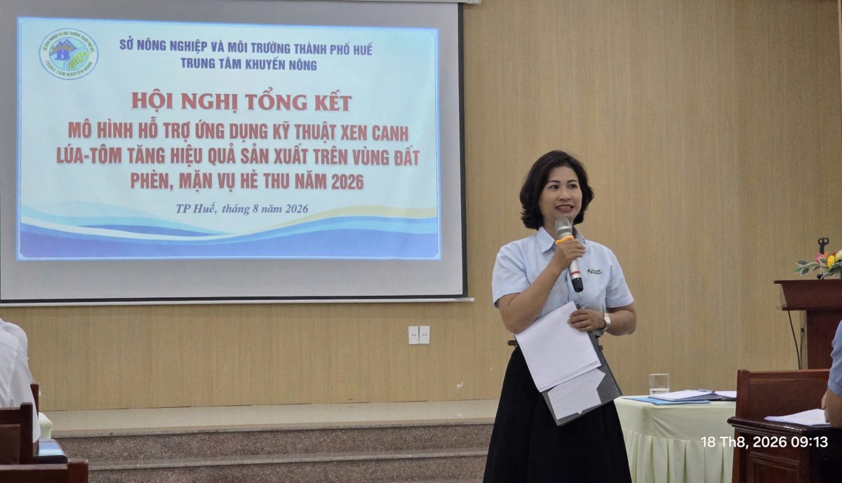 Từ những ruộng lúa kém hiệu quả đến mô hình lúa - tôm bền vững