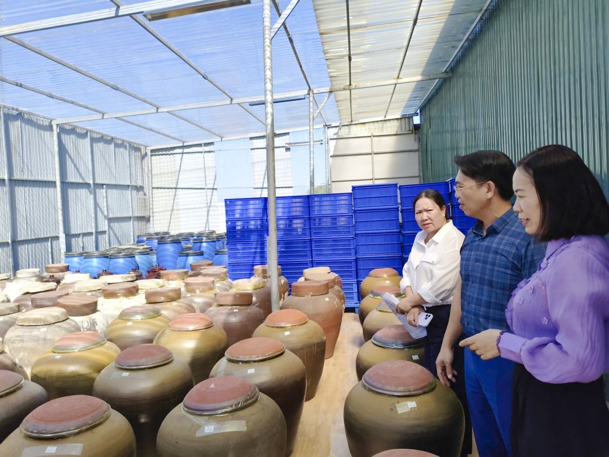 Kiểm tra tiến độ sản xuất thử nghiệm nước mắm chay từ nấm trên địa bàn tỉnh Quảng Trị