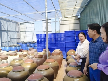 Kiểm tra tiến độ sản xuất thử nghiệm nước mắm chay từ nấm trên địa bàn tỉnh Quảng Trị