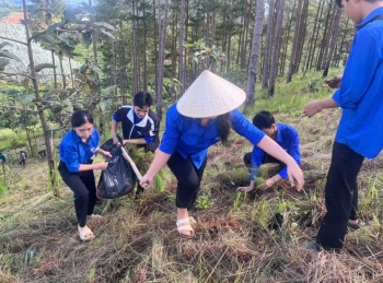 Thanh niên Lâm Đồng là lực lượng xung kích trong chuyển đổi số và phát triển nông nghiệp xanh