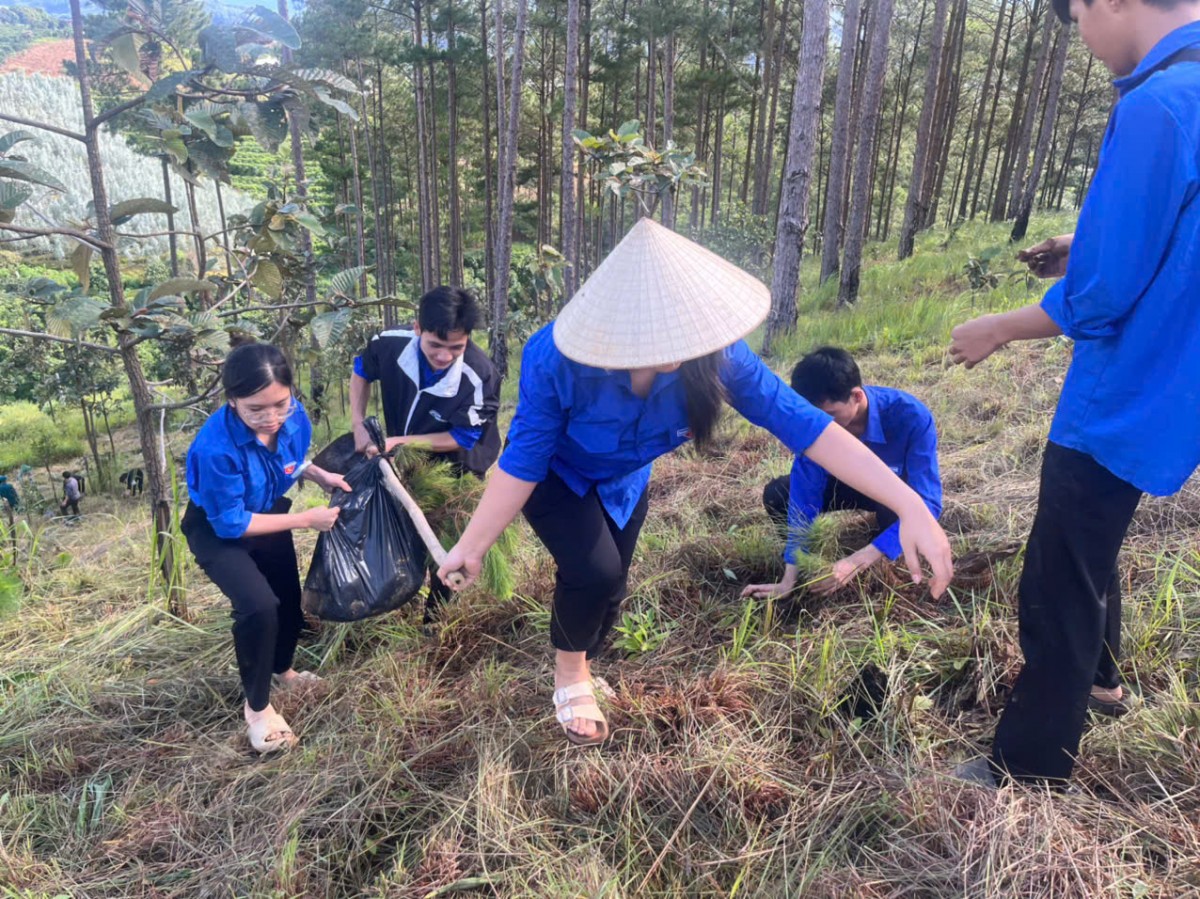 Thanh niên Lâm Đồng là lực lượng xung kích trong chuyển đổi số và phát triển nông nghiệp xanh