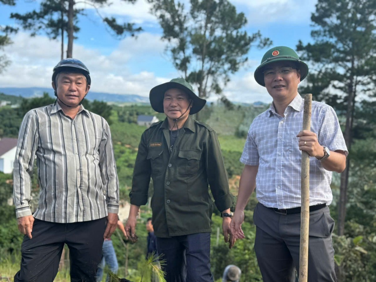 Lâm Đồng: Xã Nam Ban Lâm Hà trồng 2.500 cây thông ba lá phủ xanh đất trống