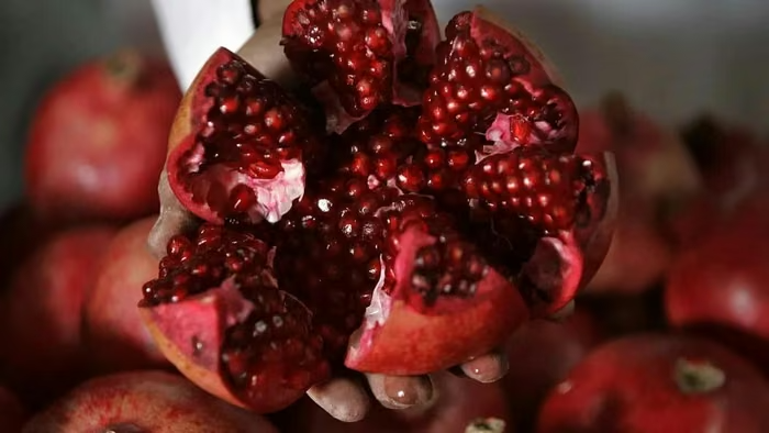 Azerbaijan đưa một loại quả có 2.000 năm lịch sử trở thành "Đại sứ nông sản quốc gia"