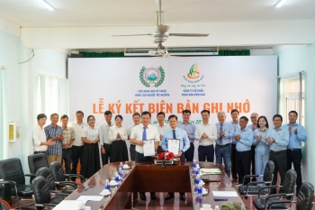 Phân bón Miền Nam bắt tay WASI nhằm thúc đẩy nông nghiệp xanh ở Tây Nguyên