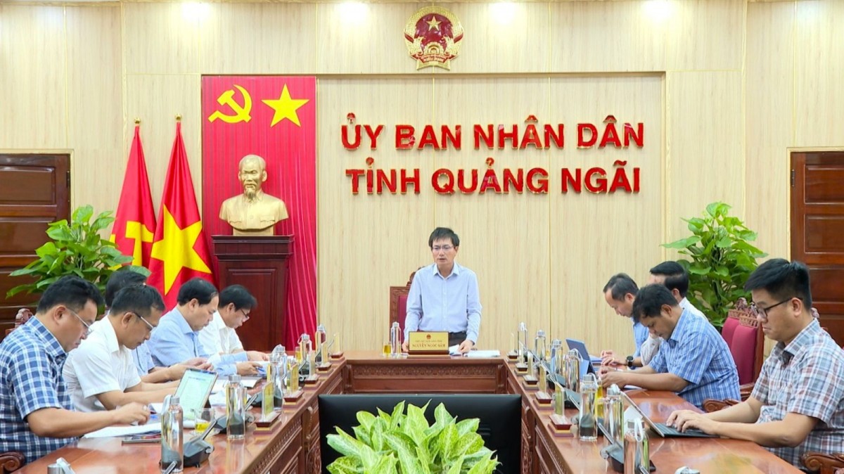 Phó Chủ tịch UBND tỉnh Nguyễn Ngọc Sâm phát biểu kết luận