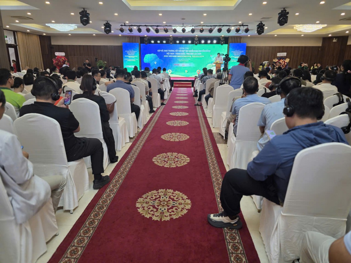 Doanh nghiệp Trung Quốc quan tâm đến điều gì tại Lễ hội Sầu riêng Đắk Lắk 2026?