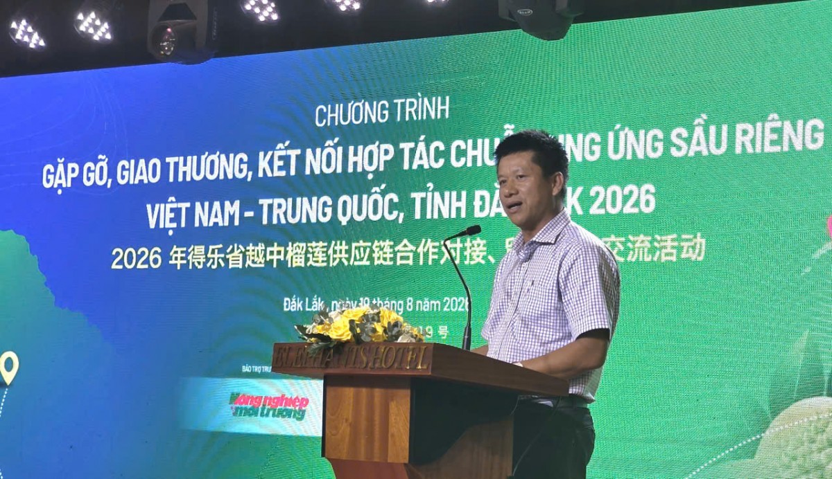 Doanh nghiệp Trung Quốc quan tâm đến điều gì tại Lễ hội Sầu riêng Đắk Lắk 2026?