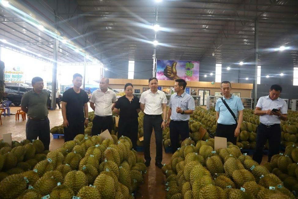 Doanh nghiệp Trung Quốc quan tâm đến điều gì tại Lễ hội Sầu riêng Đắk Lắk 2026?