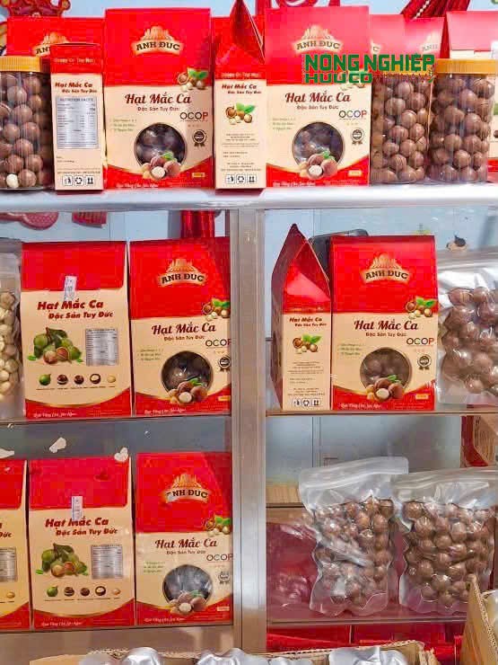 Bảo vệ thương hiệu Mắc ca Tuy Đức trước nạn hàng giả, hàng nhái