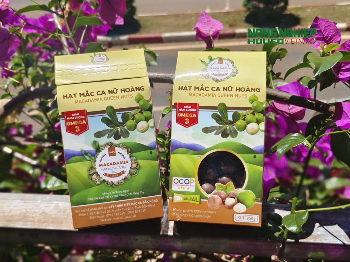 Bảo vệ thương hiệu Mắc ca Tuy Đức trước nạn hàng giả, hàng nhái
