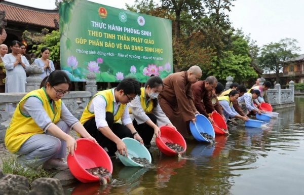 Tăng cường tuyên truyền, hướng dẫn phóng sinh đúng quy định, góp phần bảo vệ đa dạng sinh học