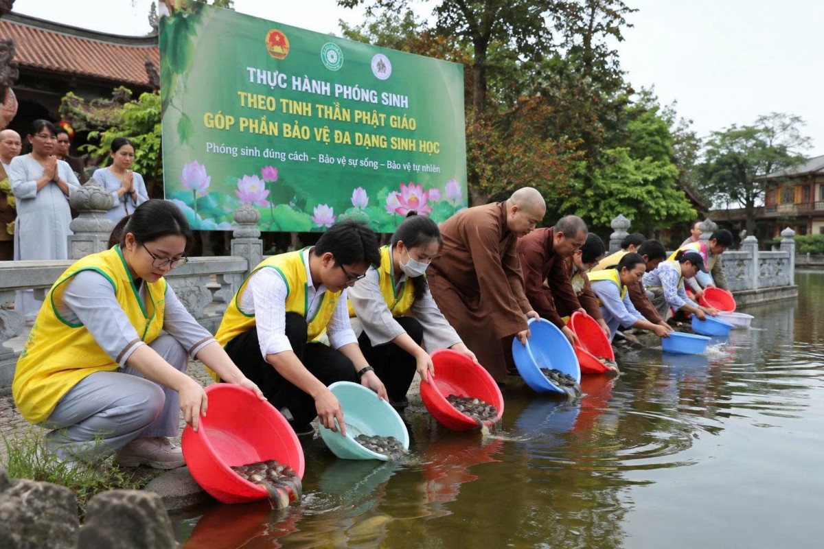 Tăng cường tuyên truyền, hướng dẫn phóng sinh đúng quy định, góp phần bảo vệ đa dạng sinh học