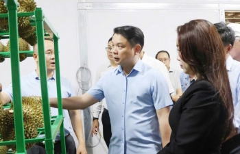 Tăng cường công tác truy xuất nguồn gốc sầu riêng xuất khẩu sang thị trường Trung Quốc