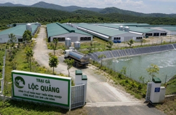 Kiểm tra việc chấp hành pháp luật về môi trường tại Trại gà Lộc Quảng
