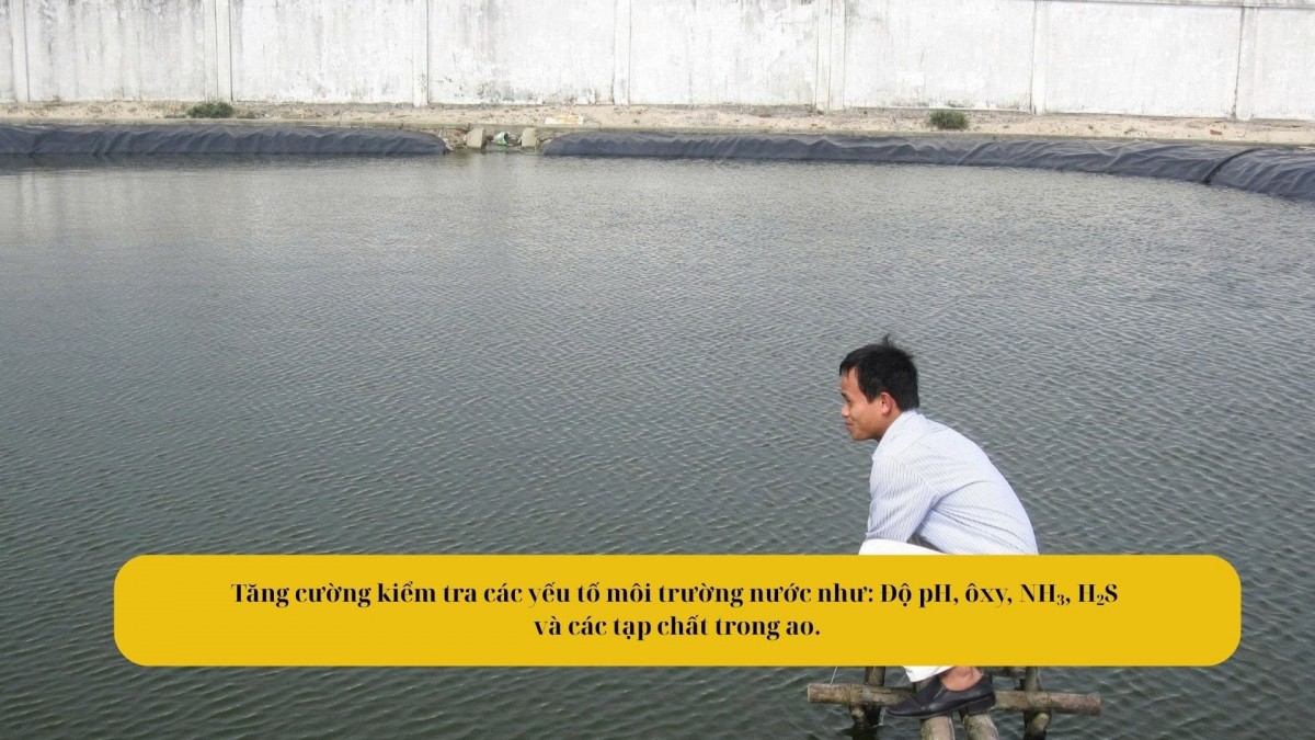 Người nuôi