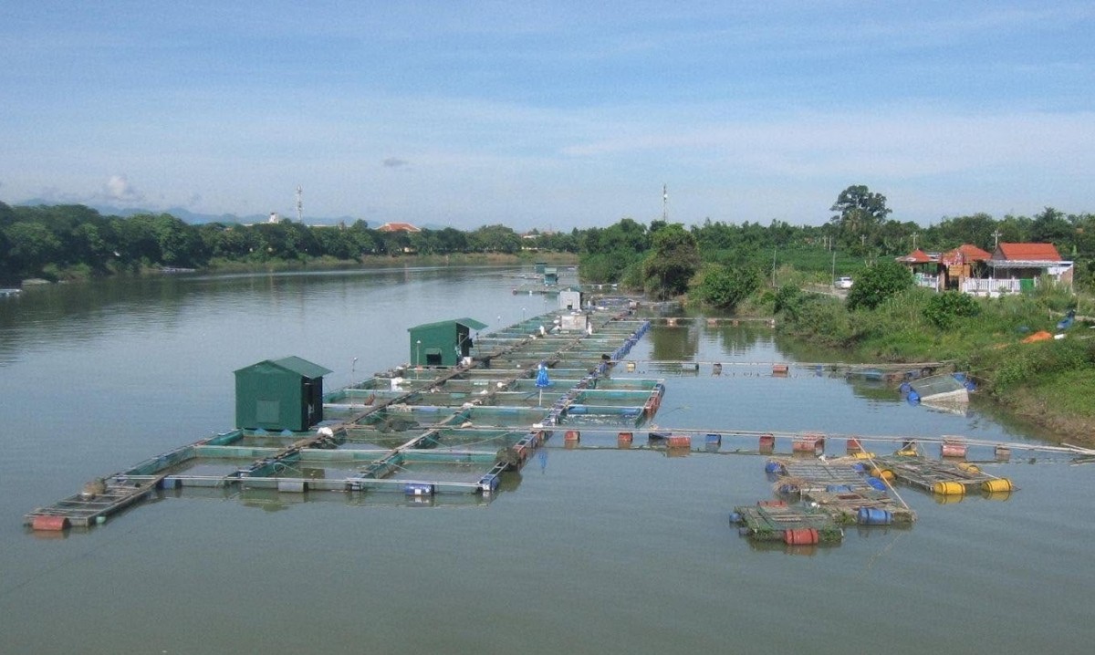 Kiểm soát môi trường nước