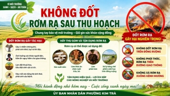 Tp. Huế: Xây dựng không gian xanh ở Kim Trà - Không đốt rơm rạ sau thu hoạch