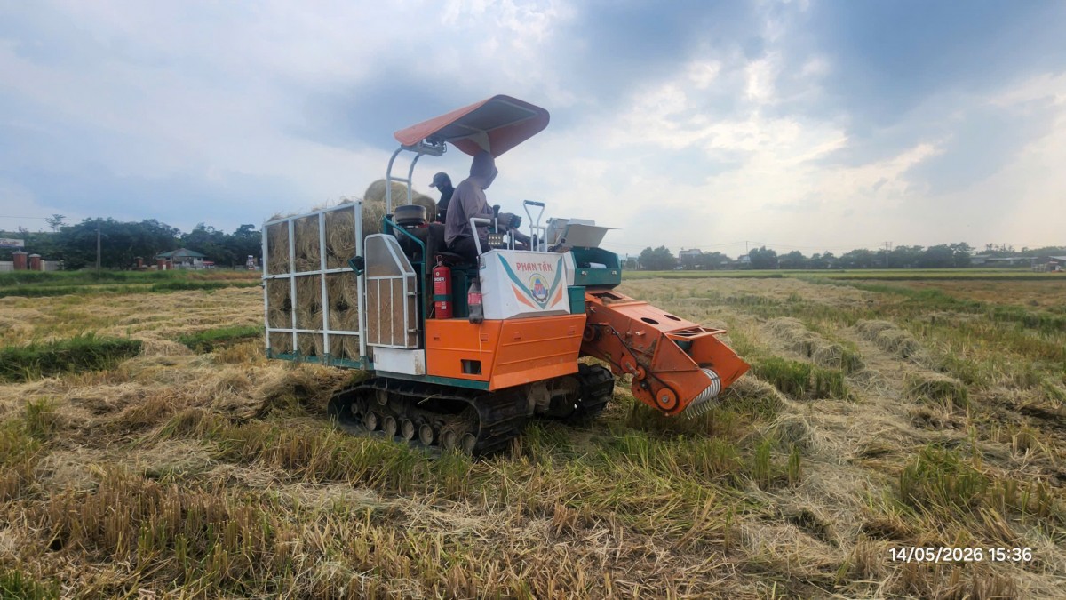 tái sử dụng