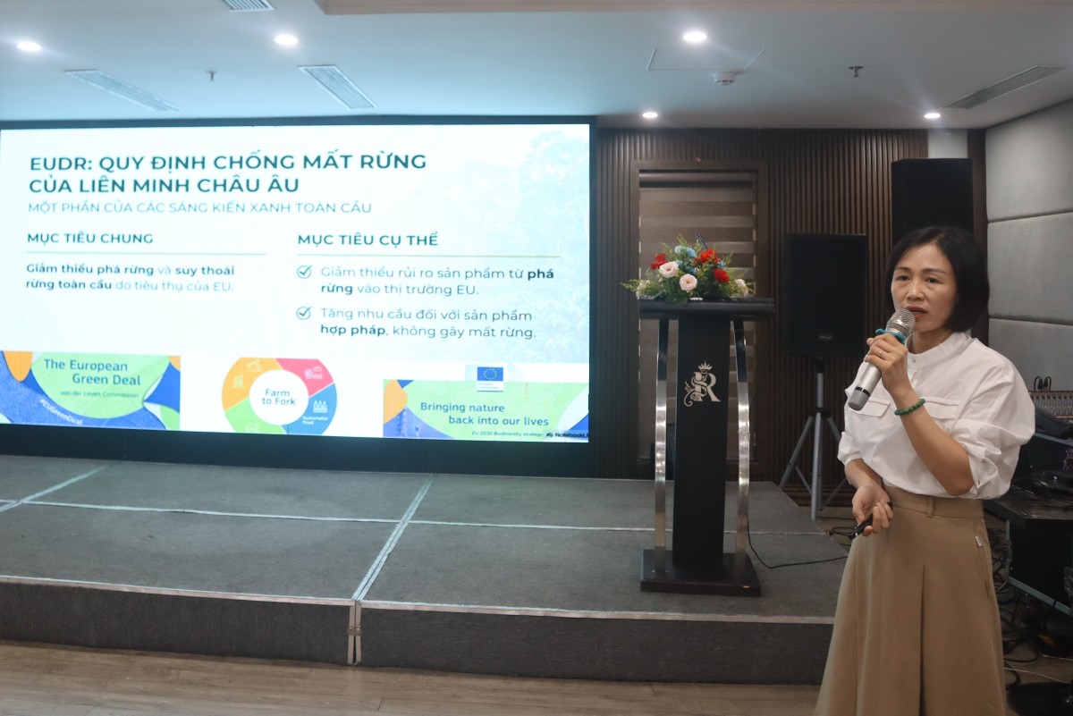 Quảng Trị: Hội nghị tuyên truyền và tập huấn nâng cao năng lực đáp ứng EUDR trên cây cà phê, cao su