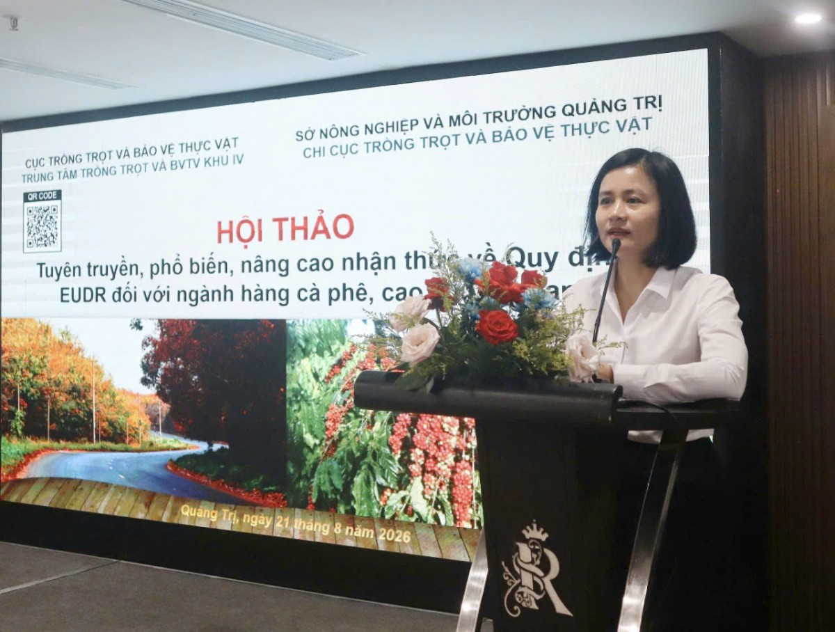 Quảng Trị: Hội nghị tuyên truyền và tập huấn nâng cao năng lực đáp ứng EUDR trên cây cà phê, cao su