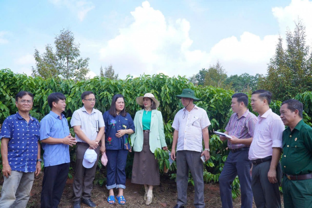 Đồng Nai: Xã Bom Bo đẩy mạnh ứng dụng khoa học kỹ thuật, phát triển nông nghiệp bền vững