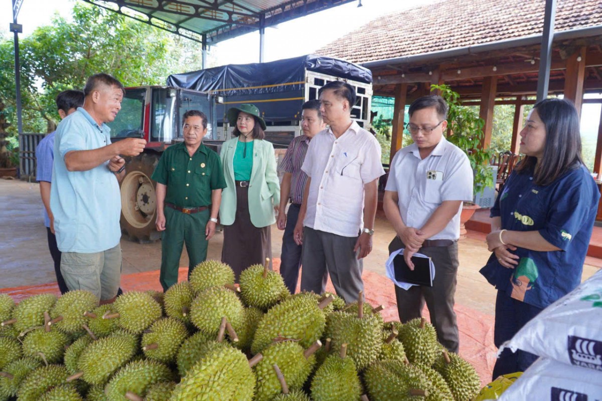 Đồng Nai: Xã Bom Bo đẩy mạnh ứng dụng khoa học kỹ thuật, phát triển nông nghiệp bền vững
