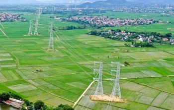 Nghệ An giao hơn 10 ha đất cho dự án đường dây 500kV mạch kép