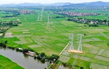 Nghệ An giao hơn 10 ha đất cho dự án đường dây 500kV mạch kép
