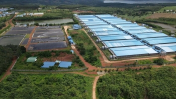 Kiểm tra việc chấp hành về bảo vệ môi trường đối với 5 đơn vị chăn nuôi
