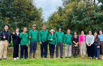 Chuẩn bị cho phiên livestream “Sầu riêng Cư Bao - Kết nối vươn xa”