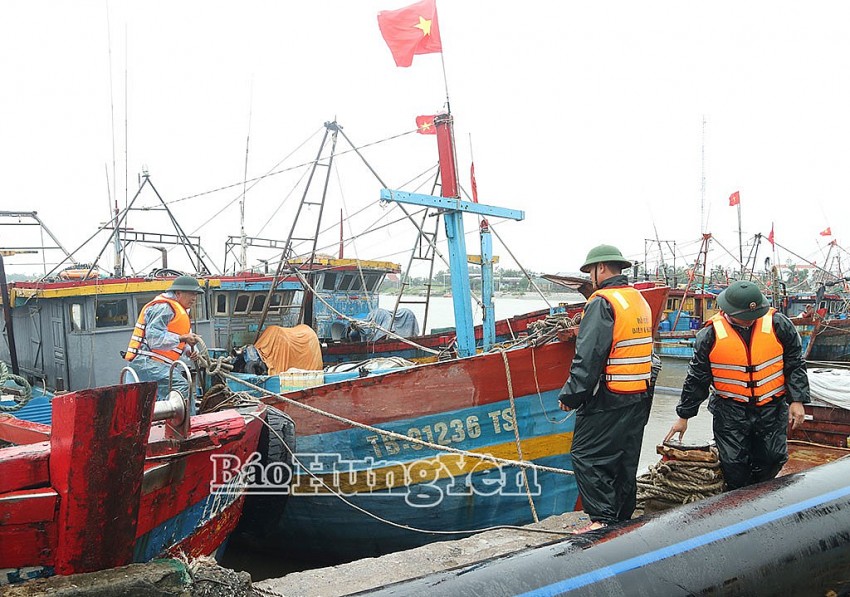 Hưng Yên chạy đua tiêu úng, bảo vệ mùa màng trước bão số 4