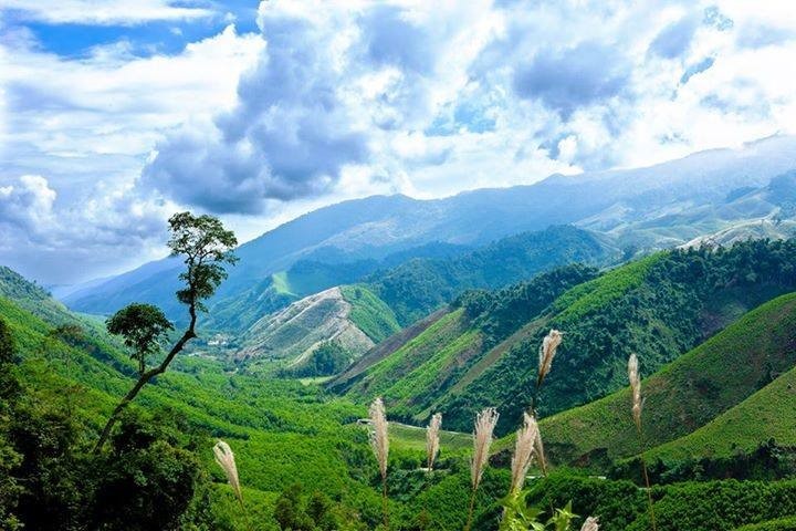 núi rừng A Lưới