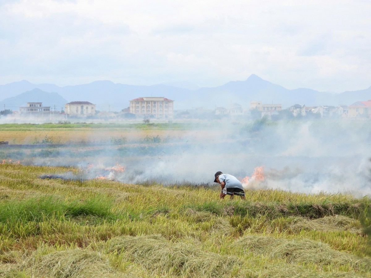Những nguy hiểm rình rập từ việc đốt rơm rạ sau mùa gặt ở xã Lệ Thủy