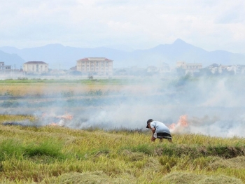 Những nguy hiểm rình rập từ việc đốt rơm rạ sau mùa gặt ở xã Lệ Thủy