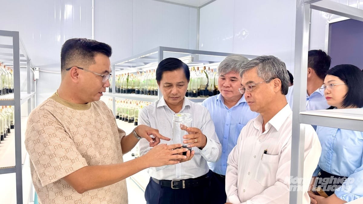 Vĩnh Long xây dựng ngân hàng giống nông nghiệp