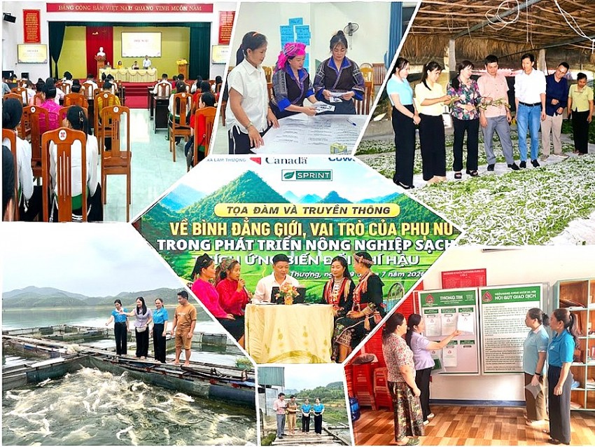 Lào Cai: Hỗ trợ nữ doanh nhân khởi nghiệp làm “đòn bẩy” góp phần chuyển đổi xanh