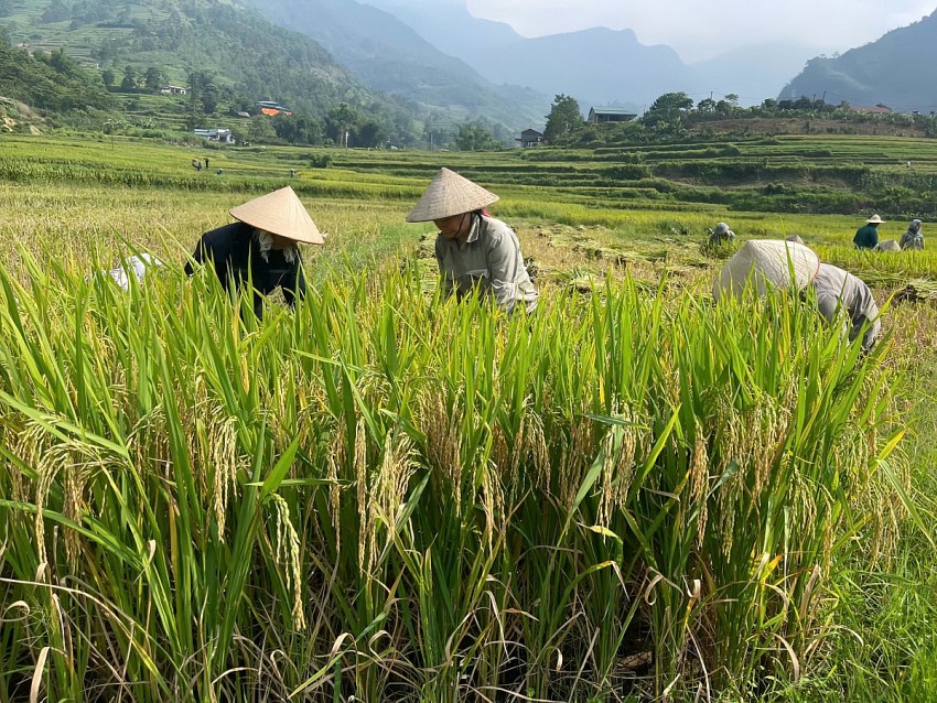 Lào Cai: Hỗ trợ nữ doanh nhân khởi nghiệp làm “đòn bẩy” góp phần chuyển đổi xanh