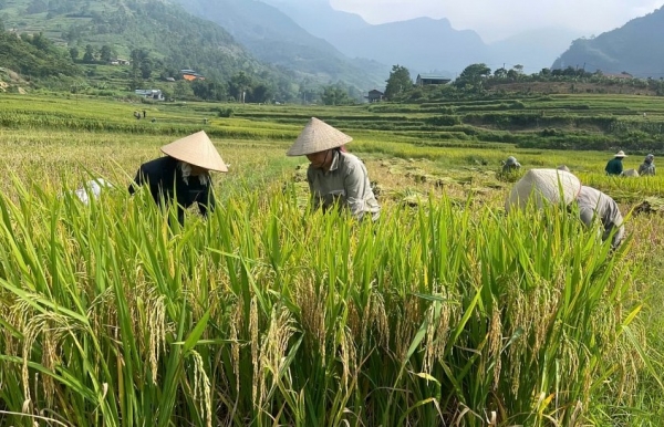 Lào Cai: Hỗ trợ nữ doanh nhân khởi nghiệp làm “đòn bẩy” góp phần chuyển đổi xanh