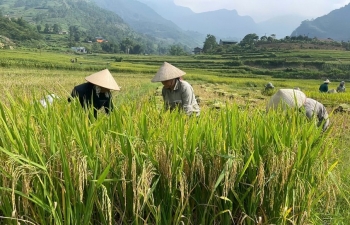 Lào Cai: Hỗ trợ nữ doanh nhân khởi nghiệp làm “đòn bẩy” góp phần chuyển đổi xanh