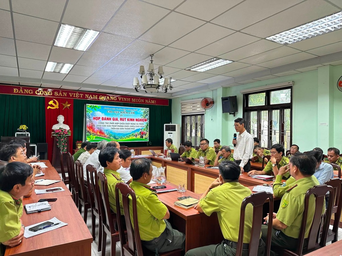 chữa cháy rừng.