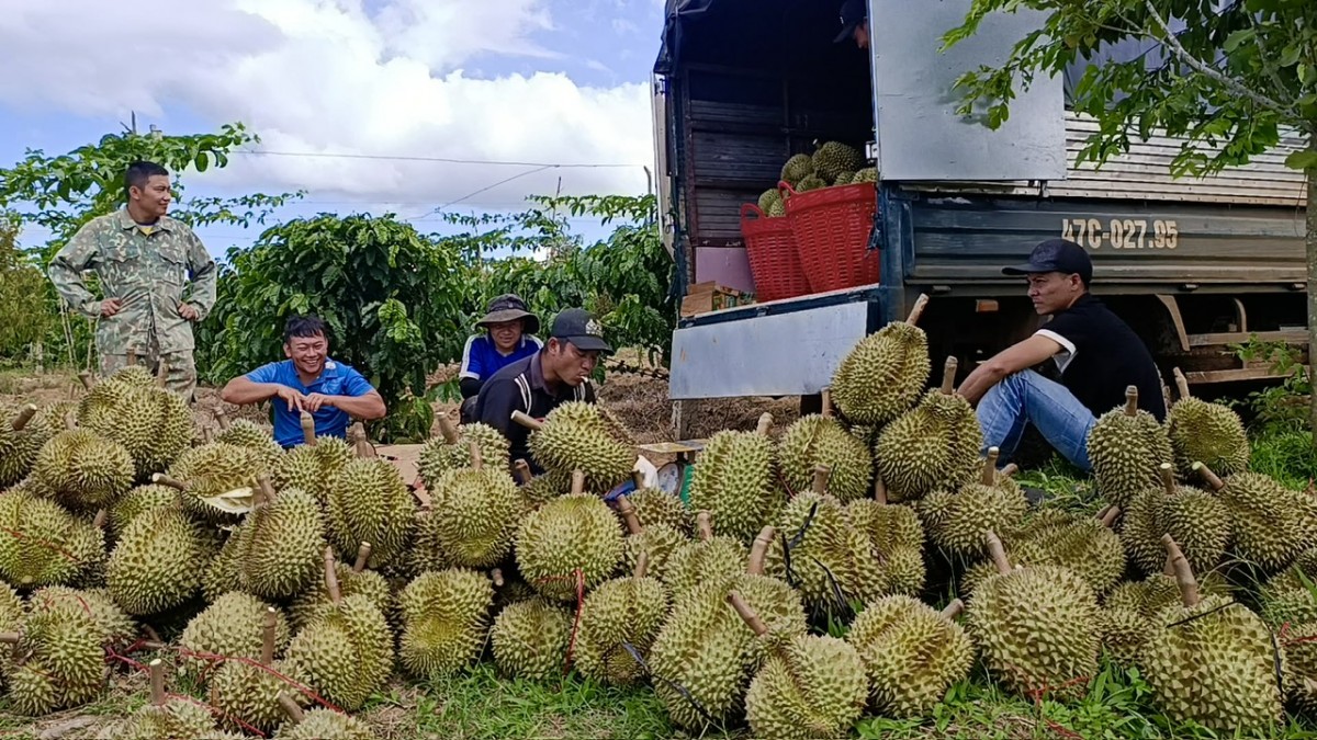 Lễ hội nhằm quảng bá, xây dựng và phát triển thương hiệu 