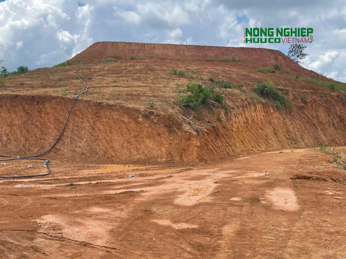 Cần rà soát, đánh giá đầy đủ về tiến độ đầu tư dự án của Công ty TNHH Quý Thanh Lộc Phát